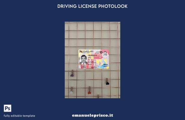 stile verificato USA Maryland DL presente modello photolook FRONT